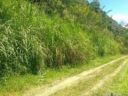 FINCA DE RECREO EN SAN JERONIMO ANTIOQUIA (San Jerónimo, Antioquia)
